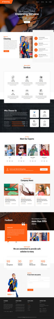 cleaning WordPress theme
