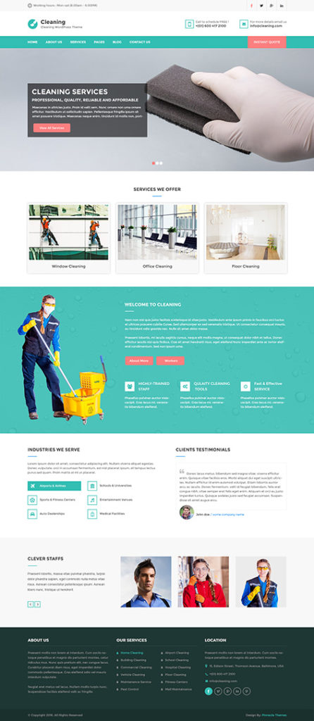 cleaning WordPress theme