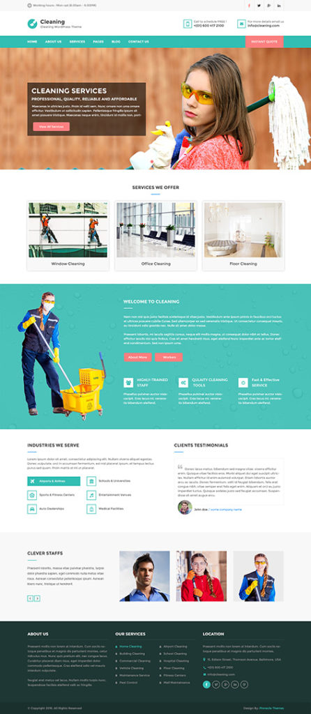 cleaning WordPress theme