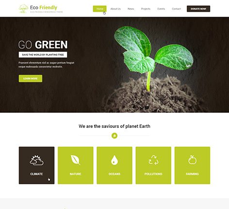 eco friendly WordPress theme