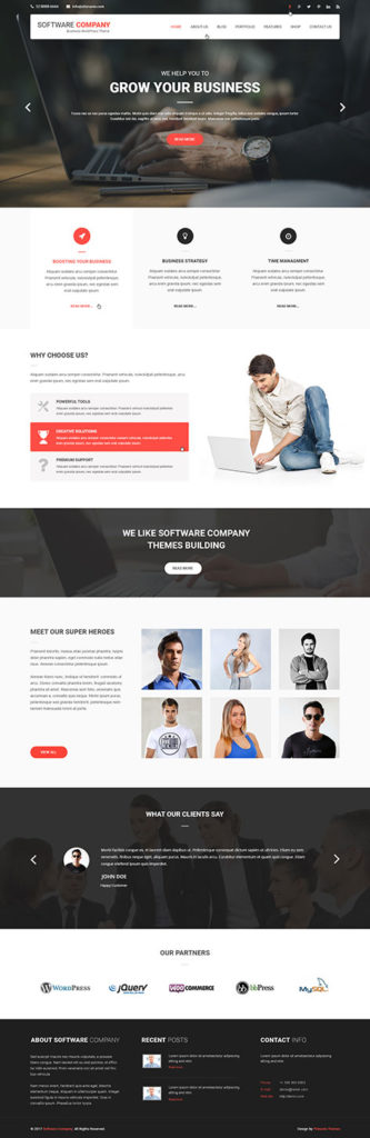 software company WordPress theme