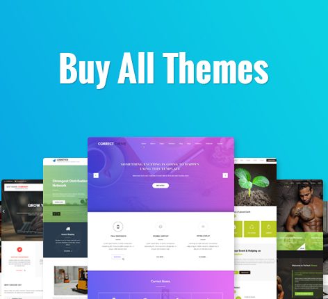 WordPress theme bundle sale