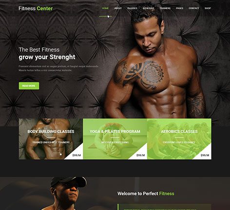 fitness center WordPress theme