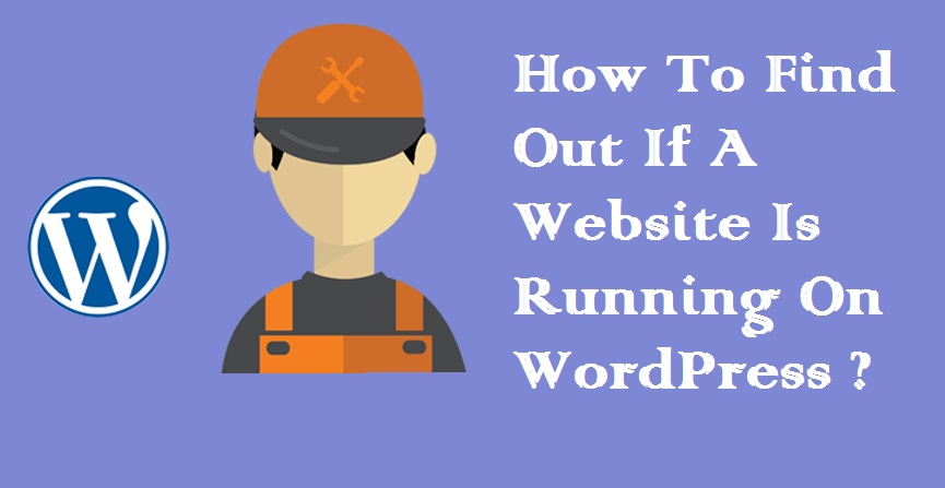WordPress website
