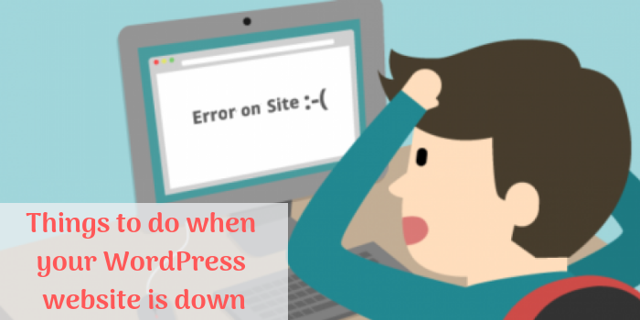 Things to do when your WordPress website is down