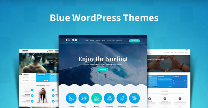 Blue WordPress Themes