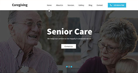Caregiving WordPress Theme