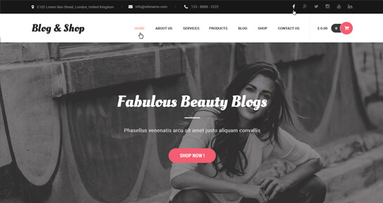 Blog and Shop WordPress Theme
