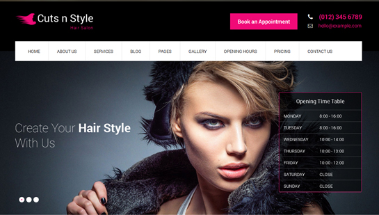 Cutsnstyle Pro WordPress Theme
