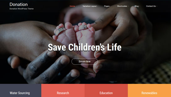 Donation WordPress Theme