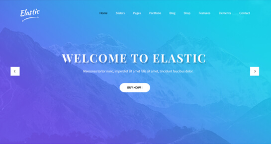 Elastic Pro WordPress Theme