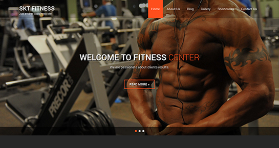 Fitness Pro WordPress Theme