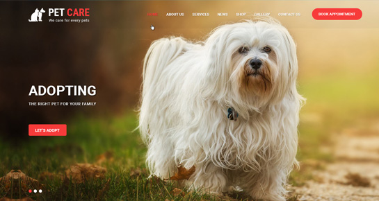 Pet Care WordPress Theme