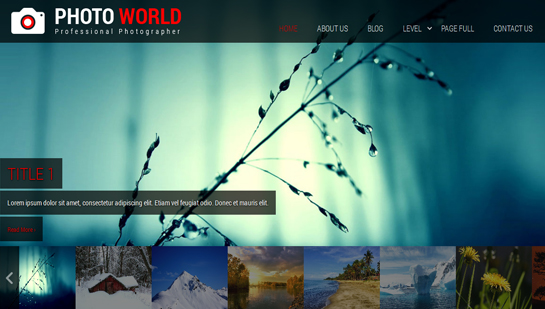 Photo World WordPress Theme