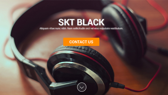 SKT Black WordPress Theme