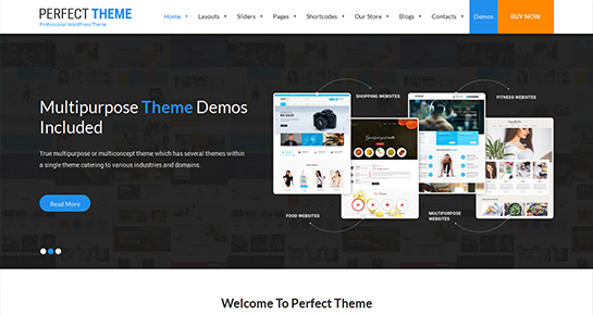 SKT award winning WordPress Themes