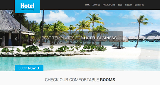Stay Here WordPress Theme