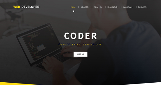 Web Programmer WordPress Theme