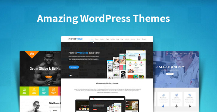 Amazing WordPress themes