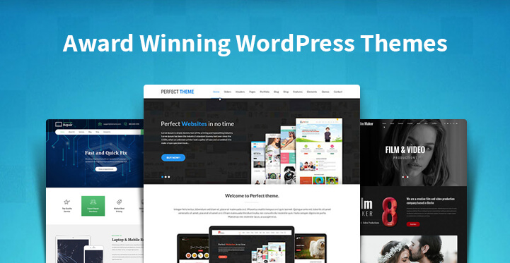 award winning WordPress themes