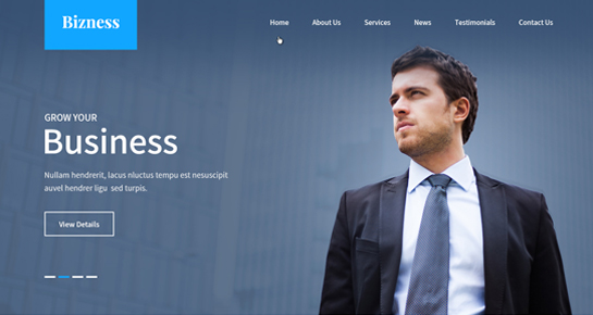 Bizness Pro WordPress Theme