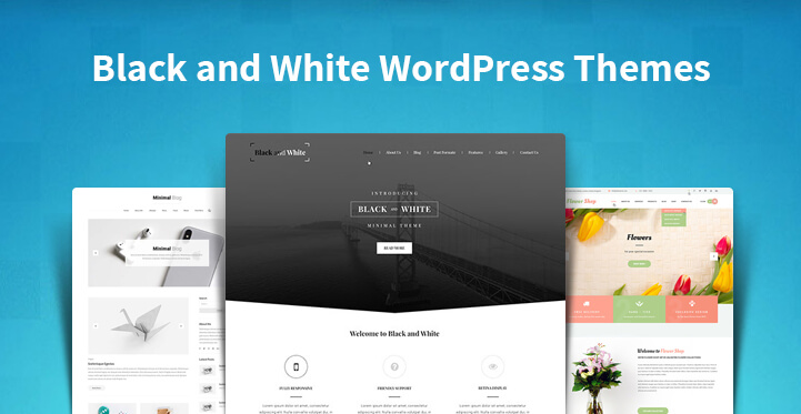 black and white WordPress themes