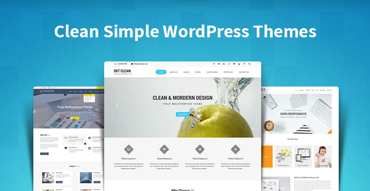 clean simple WordPress themes