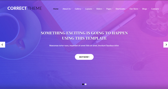 Correct WordPress Theme