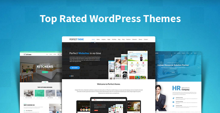 top rated WordPress themes
