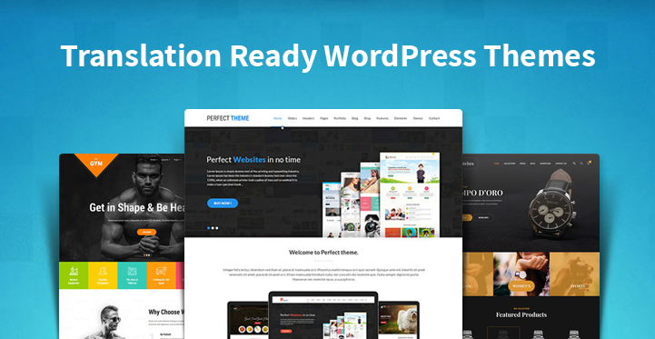 translation ready WordPress themes