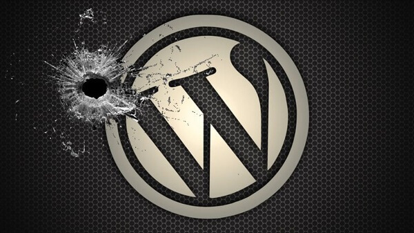 WordPress Vulnerabilities