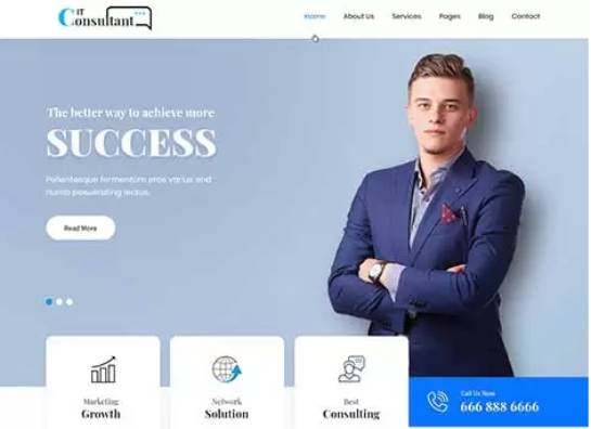 IT consultant 