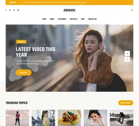 Adsense WordPress Theme