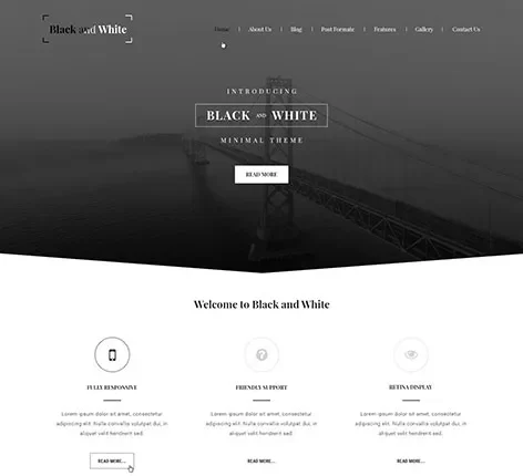 Modern WordPress Theme