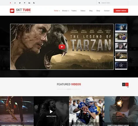 Video WordPress Theme