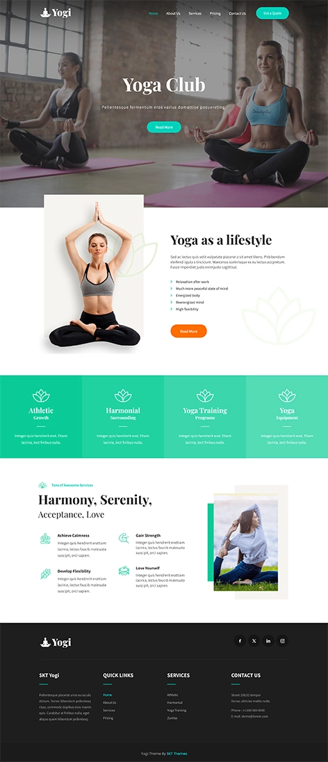 Affordable Custom WordPress Theme