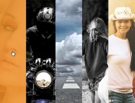 Awesome Gallery Optimized WordPress Theme