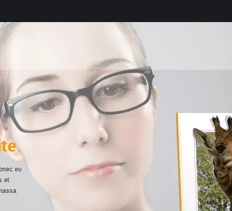 Bookstore WordPress Theme