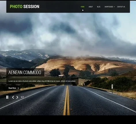 Carousel Sliders WordPress Theme