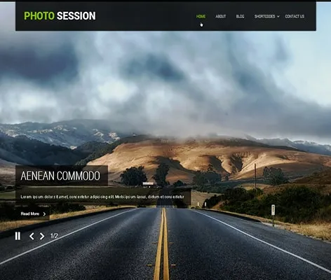 Carousel Sliders WordPress Theme