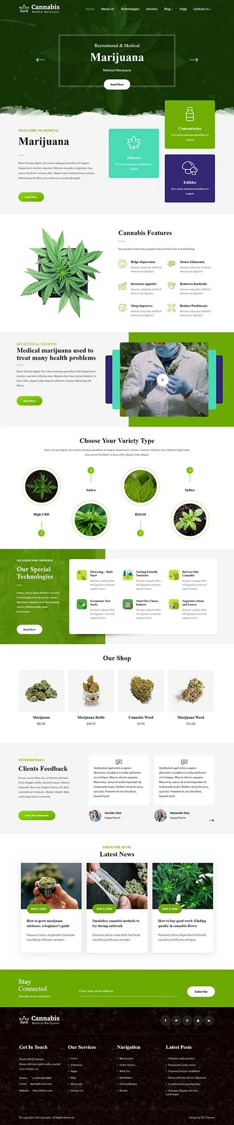 Chinese Medicine WordPress Theme