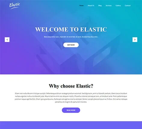 Classy WordPress Theme
