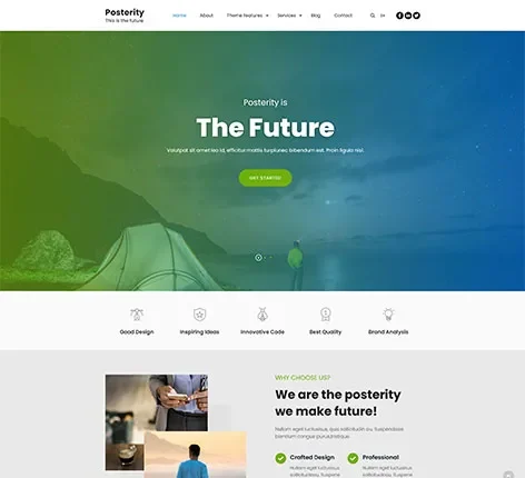 Crazy WordPress Theme