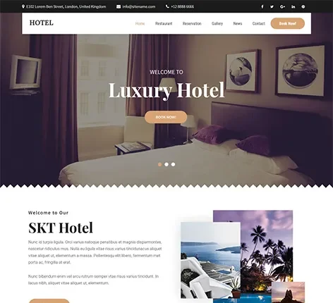Deluxe WordPress Theme