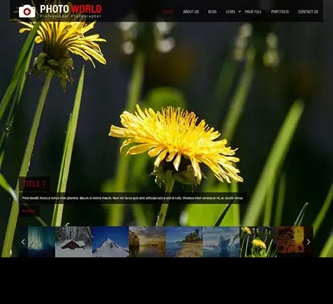 Photography Portfolio WordPress Theme