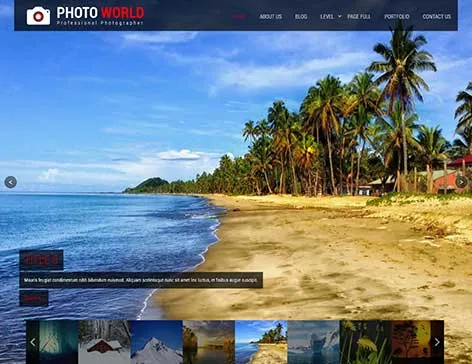 Retro Style WordPress Theme with vintage design and classic layout for creative websites
