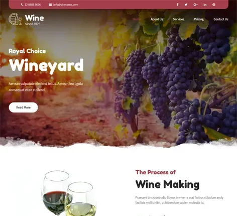 Wine WordPress Theme