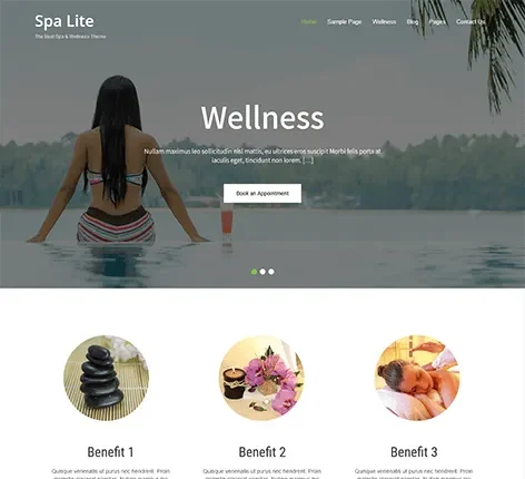 Free Chic WordPress Theme