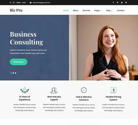 Influencer WordPress Theme