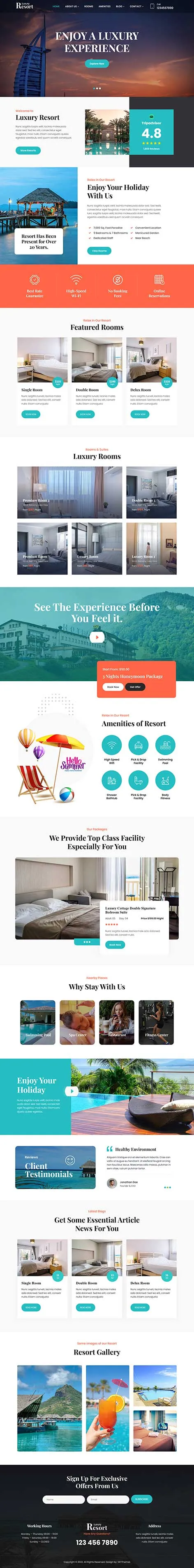 Newsletter WordPress Theme
